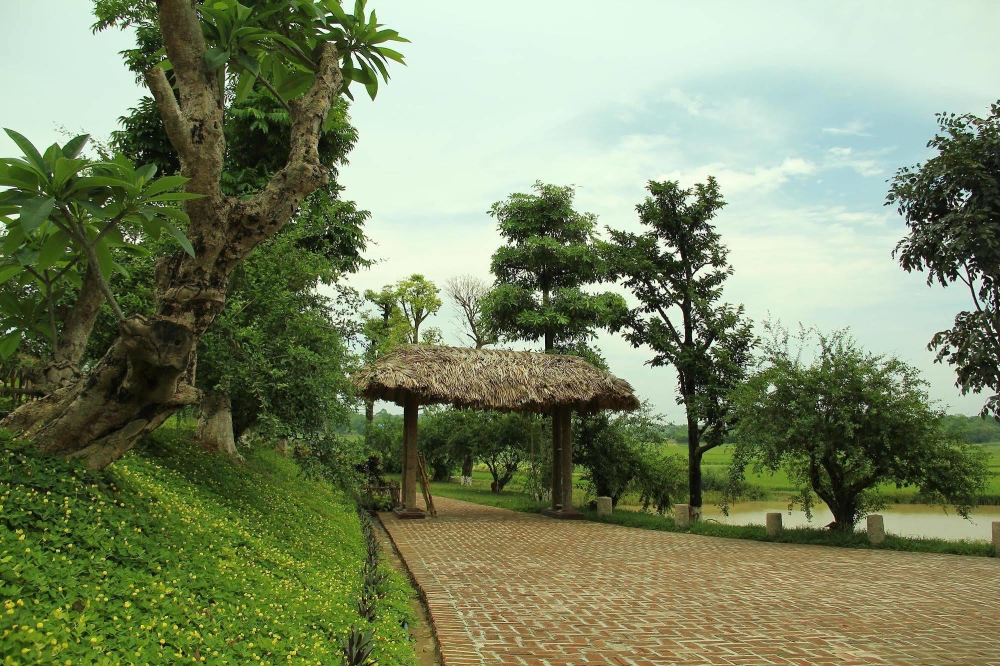 Moon Garden Homestay Son Tay Екстериор снимка